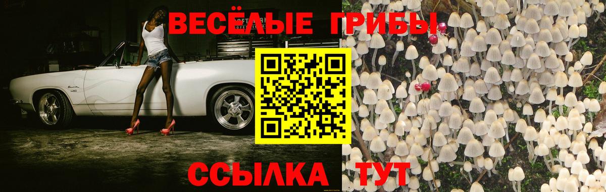 Мариинск  купить наркоту  Вход с VPN  Галлюциногенные грибы ЛСД 